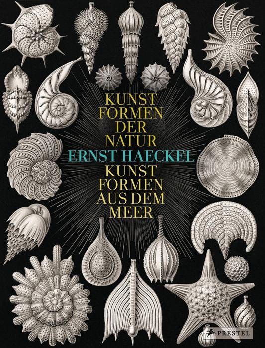 Cover: 9783791346601 | Ernst Haeckel | Kunstformen der Natur - Kunstformen aus dem Meer