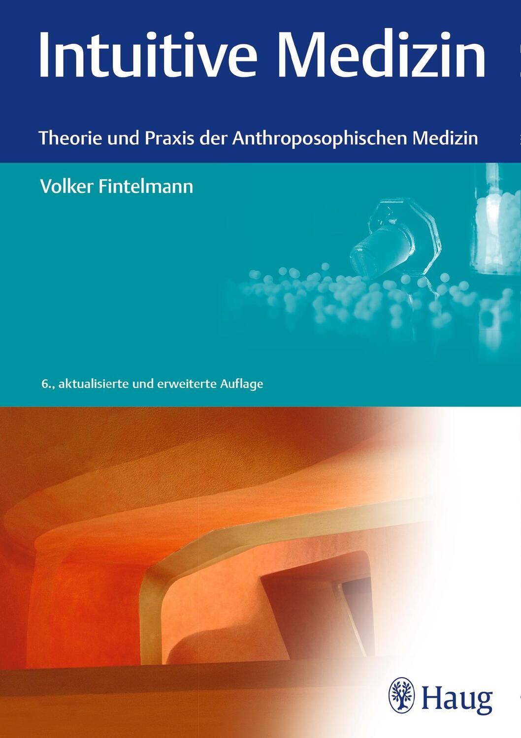 Cover: 9783132400795 | Intuitive Medizin | Theorie und Praxis der Anthroposophischen Medizin