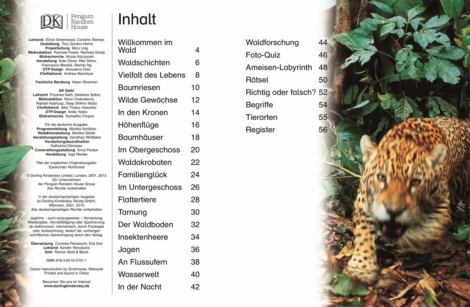 Bild: 9783831027071 | Regenwald | Leben im Dschungel | Buch | 56 S. | Deutsch | 2015