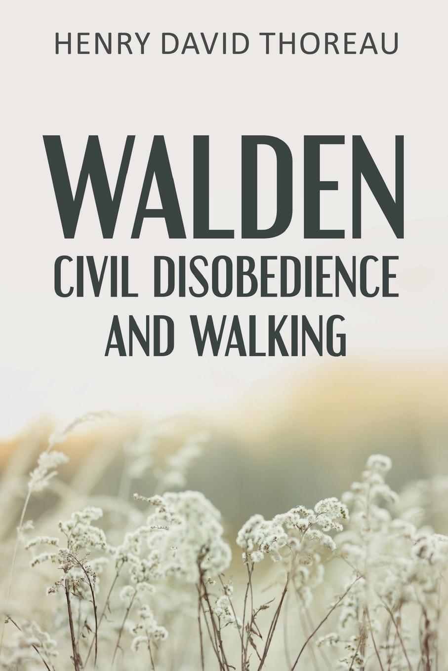 Cover: 9789355225559 | Walden, Civil Disobedience and Walking | Henry David Thoreau | Buch