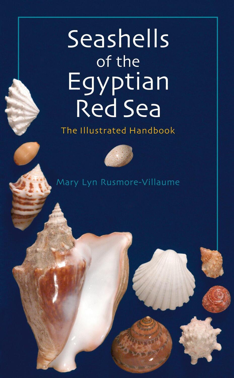 Cover: 9789774160967 | Seashells of the Egyptian Red Sea: The Illustrated Handbook | Buch
