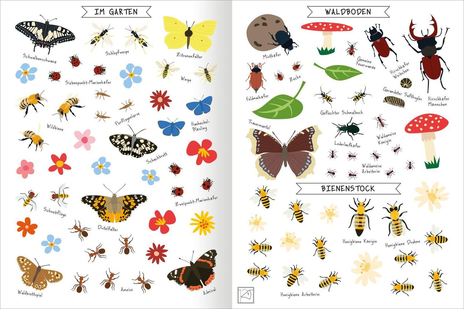 Bild: 9783845855875 | Naturforscher-Kids - Stickerheft Insekten | Über 300 Sticker | 40 S.