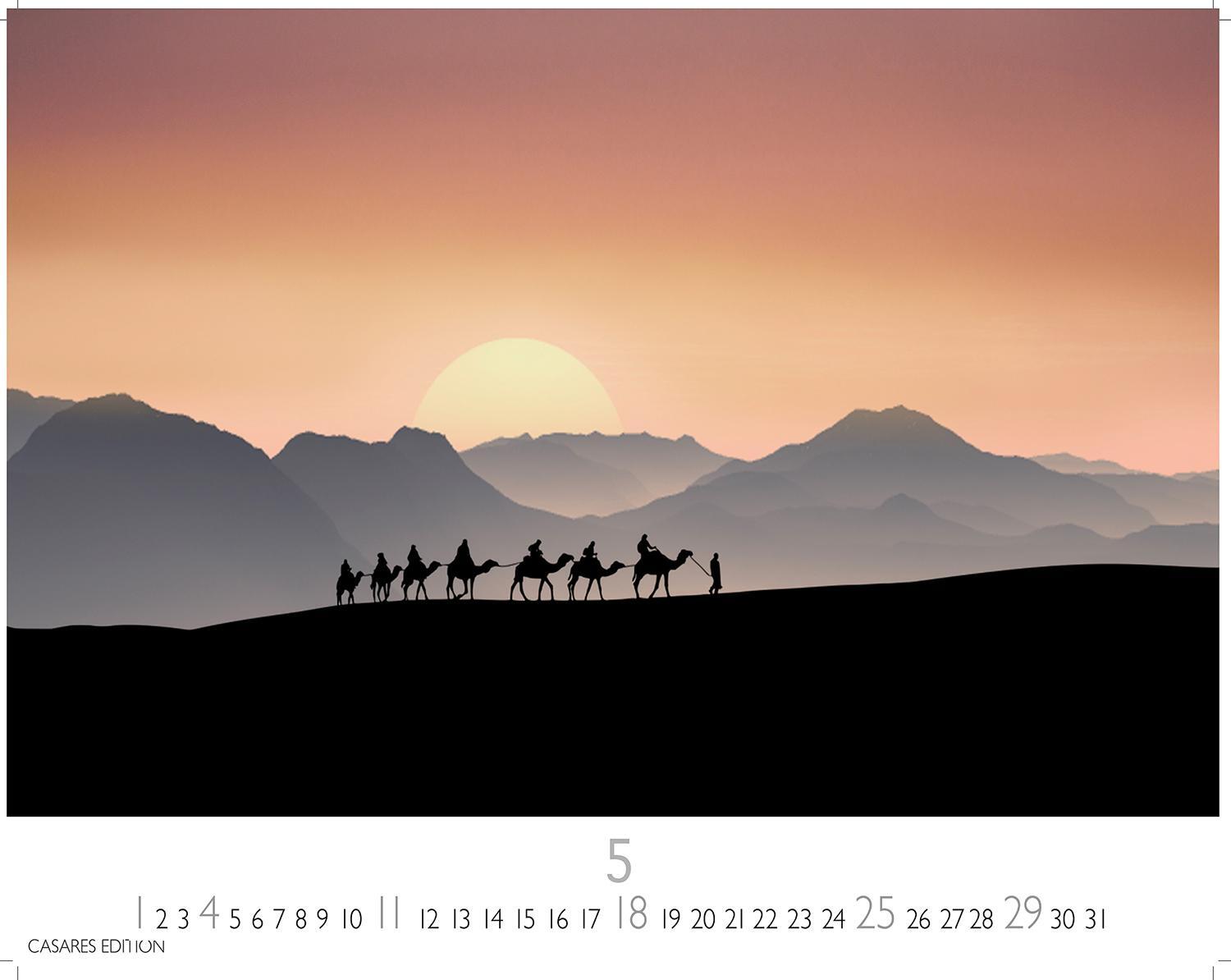 Bild: 9781835240526 | Sahara 2025 L 35x50cm | Kalender | 14 S. | Deutsch | 2025