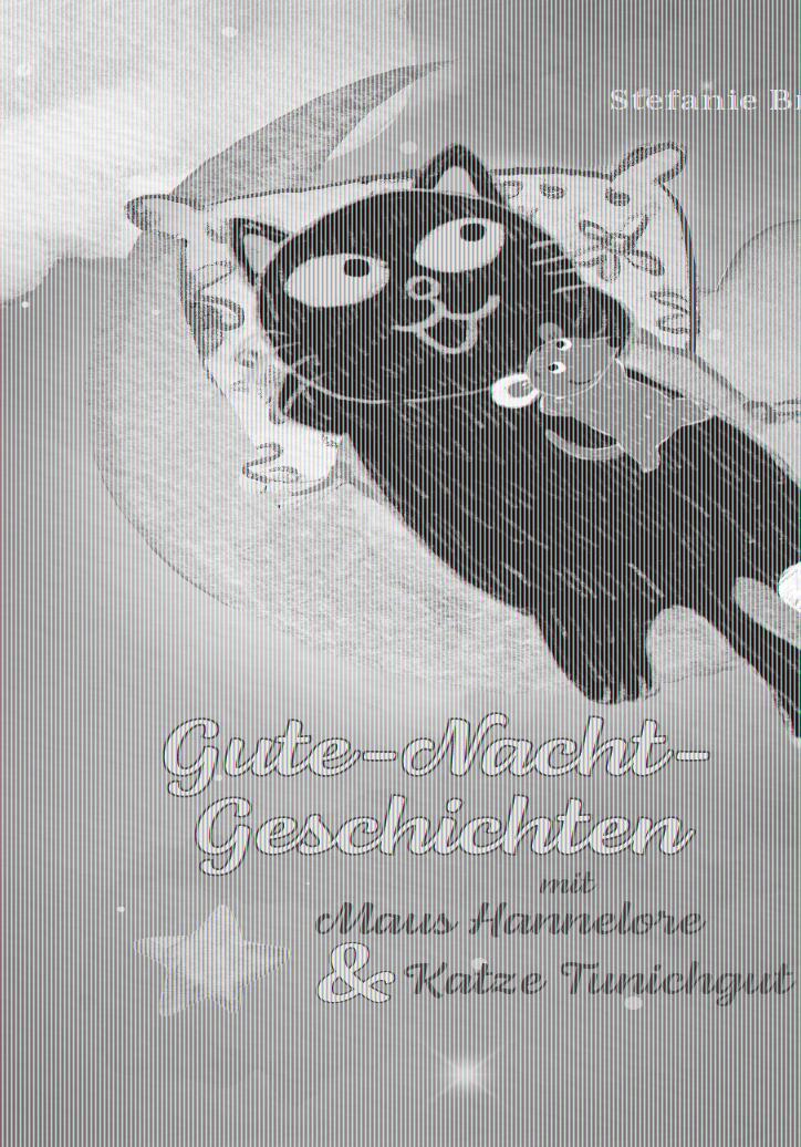 Cover: 9783962007126 | Gute-Nacht-Geschichten mit Maus Hannelore &amp; Katze Tunichgut | Brazdrum