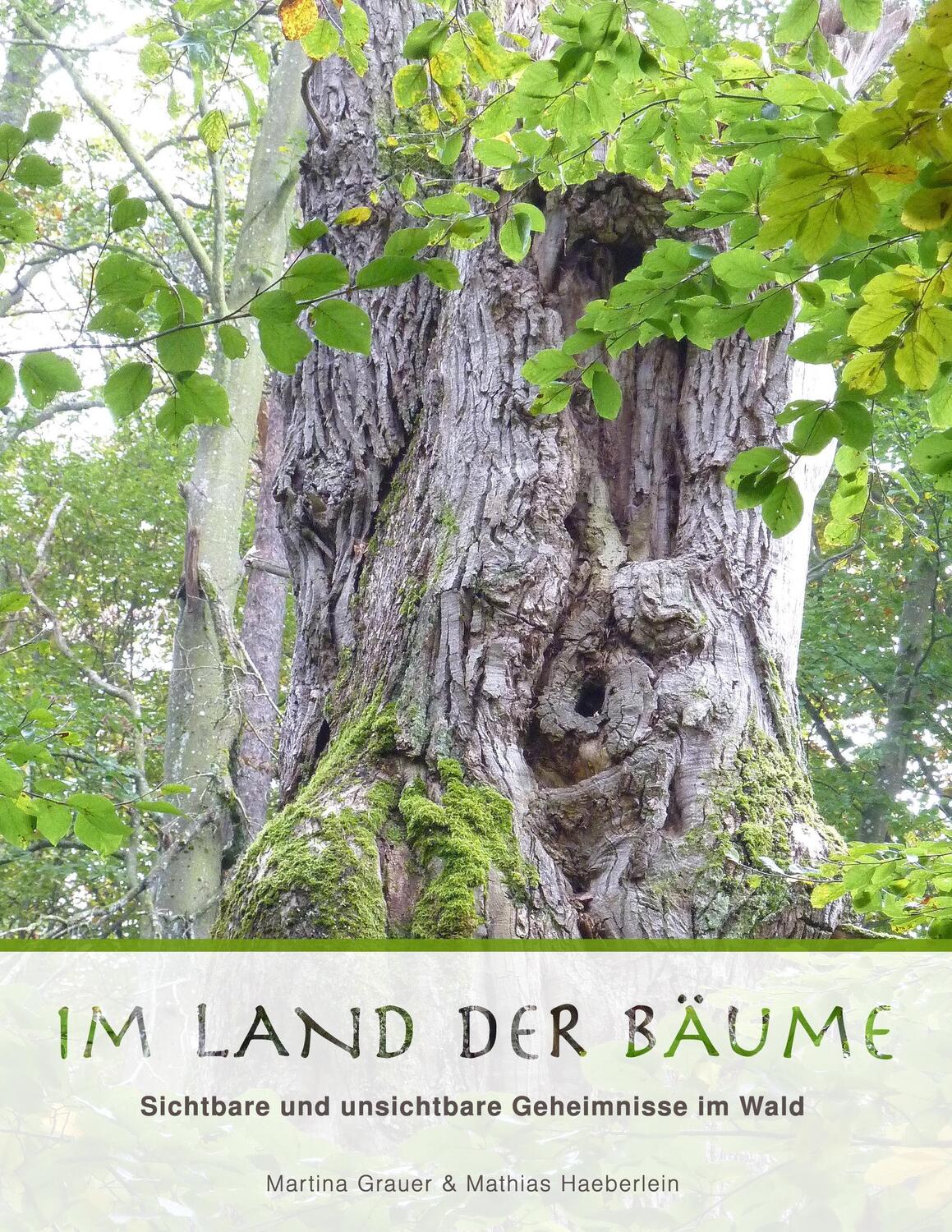 Cover: 9783744819633 | Im Land der Bäume | Sichtbare und unsichtbare Geheimnisse im Wald