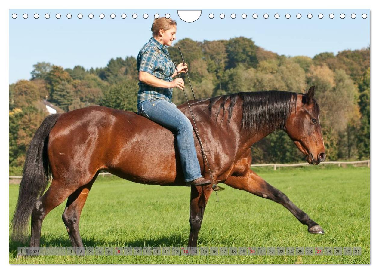 Bild: 9783435594160 | Natural Horsemanship - Partnerschaft mit Pferden (Wandkalender 2025...