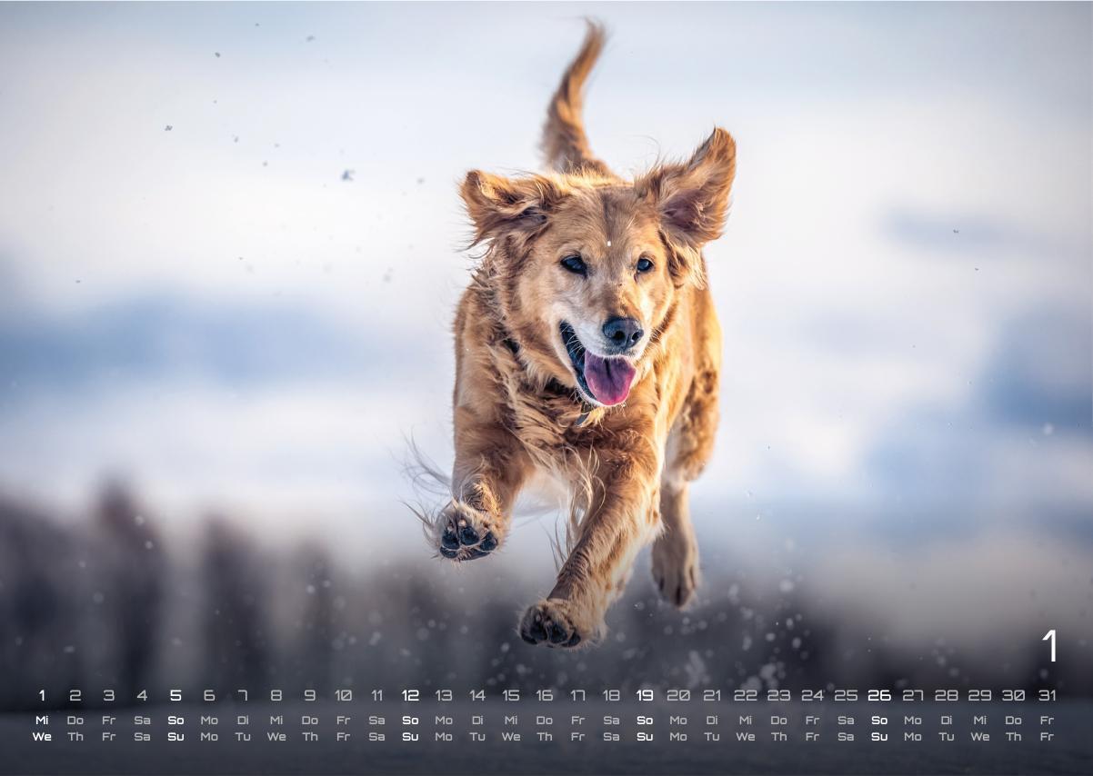 Bild: 9783986733919 | Wuff - Unsere Vierbeiner - Der Hundekalender- 2025 - Kalender DIN A3