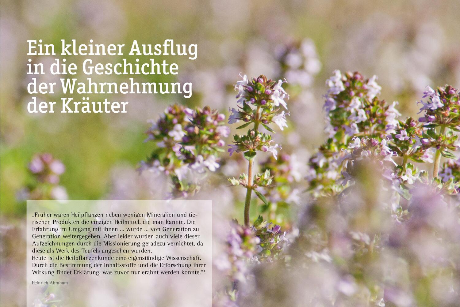 Bild: 9783706625364 | Südtiroler Kräuterfrauen | Ihr Leben, ihr Heilwissen, ihre Rezepte