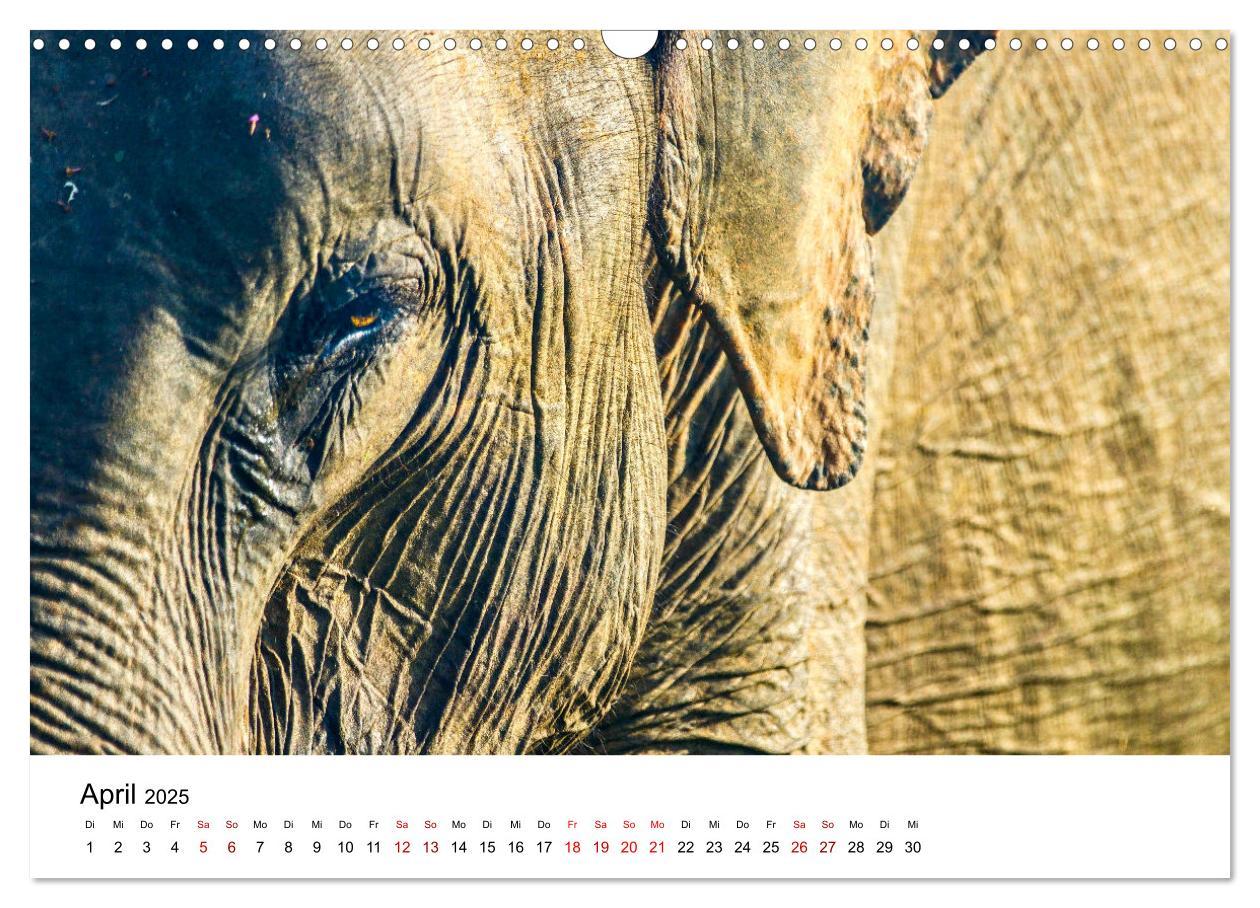 Bild: 9783383997921 | Sri Lanka - Eine wahre Perle im Indischen Ozean (Wandkalender 2025...