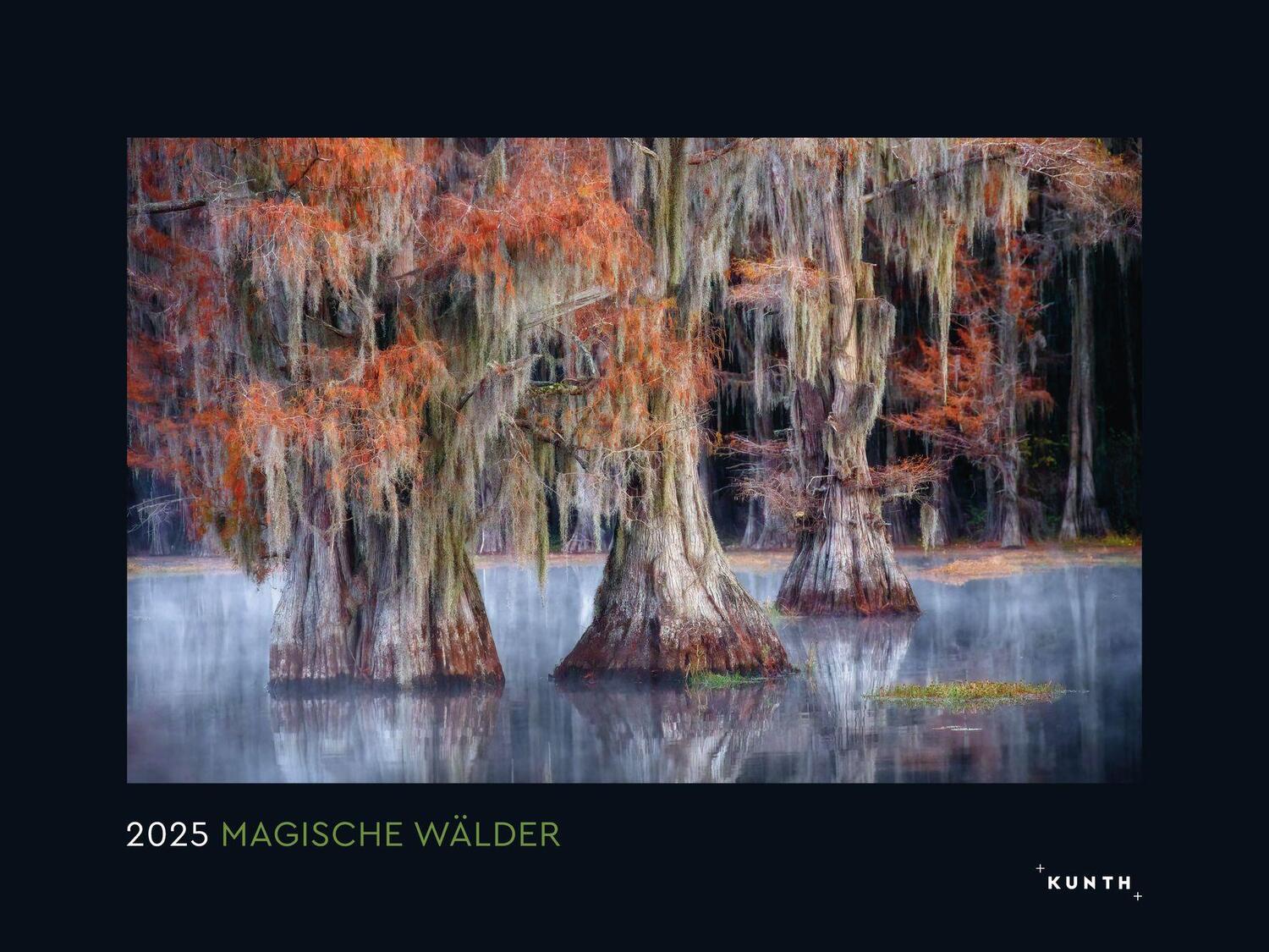 Cover: 9783965913356 | Magische Wälder - KUNTH Wandkalender 2025 | Kalender | 14 S. | Deutsch