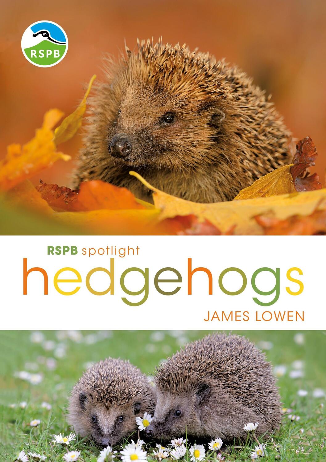 Cover: 9781472950086 | RSPB Spotlight Hedgehogs | James Lowen | Taschenbuch | Englisch | 2018