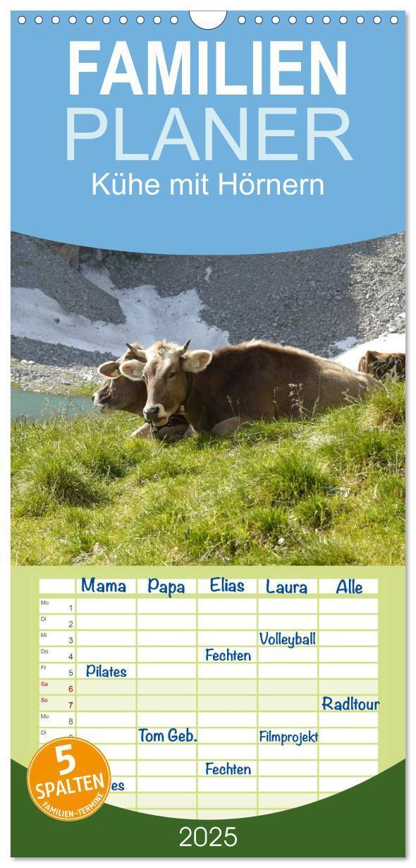 Cover: 9783457109571 | Familienplaner 2025 - Kühe mit Hörnern mit 5 Spalten (Wandkalender,...