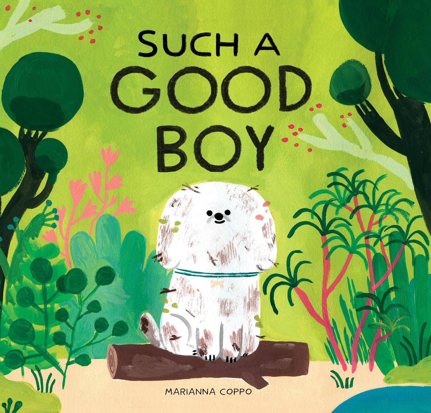Cover: 9781452177748 | Such a Good Boy | Marianna Coppo | Buch | Englisch | 2020