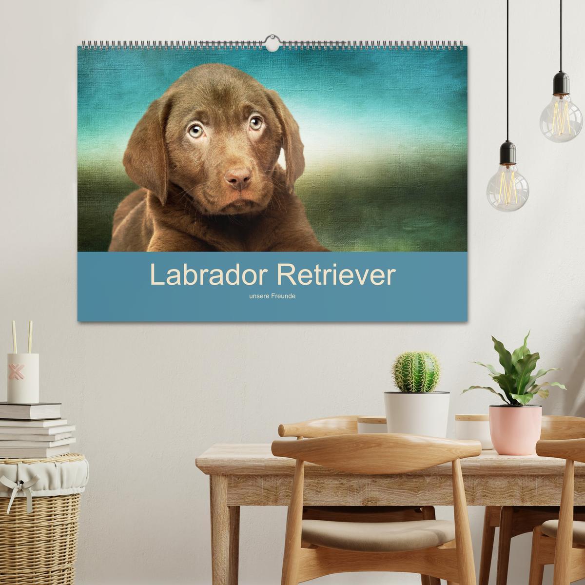 Bild: 9783435160860 | Labrador Retriever unsere Freunde (Wandkalender 2025 DIN A2 quer),...