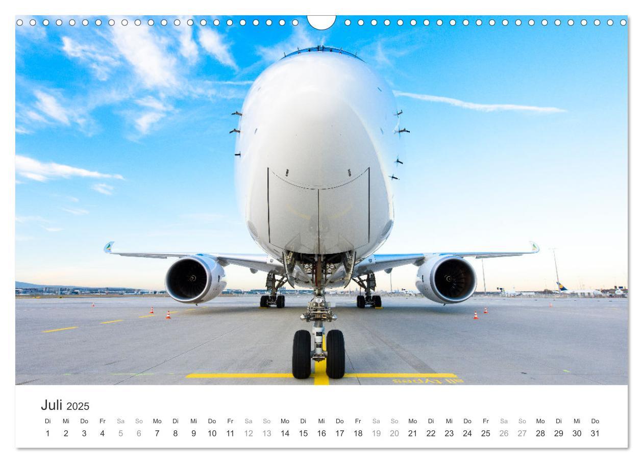 Bild: 9783383925139 | die FREIHEIT des FLIEGENS (Wandkalender 2025 DIN A3 quer), CALVENDO...