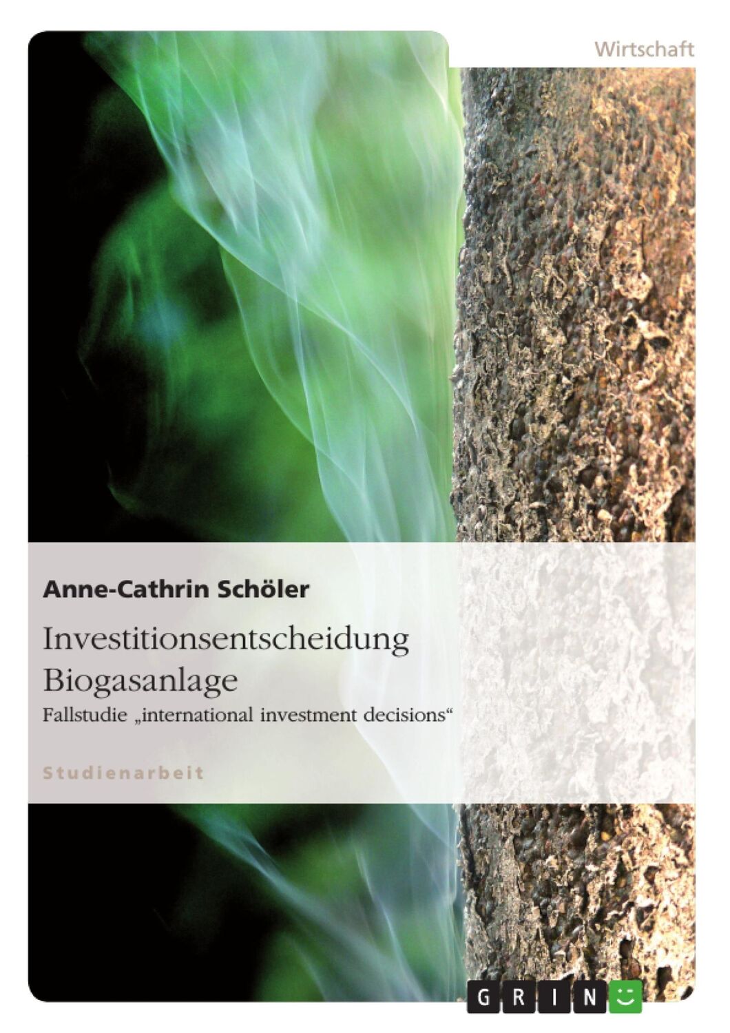 Cover: 9783656131540 | Investitionsentscheidung Biogasanlage | Anne-Cathrin Schöler | Buch