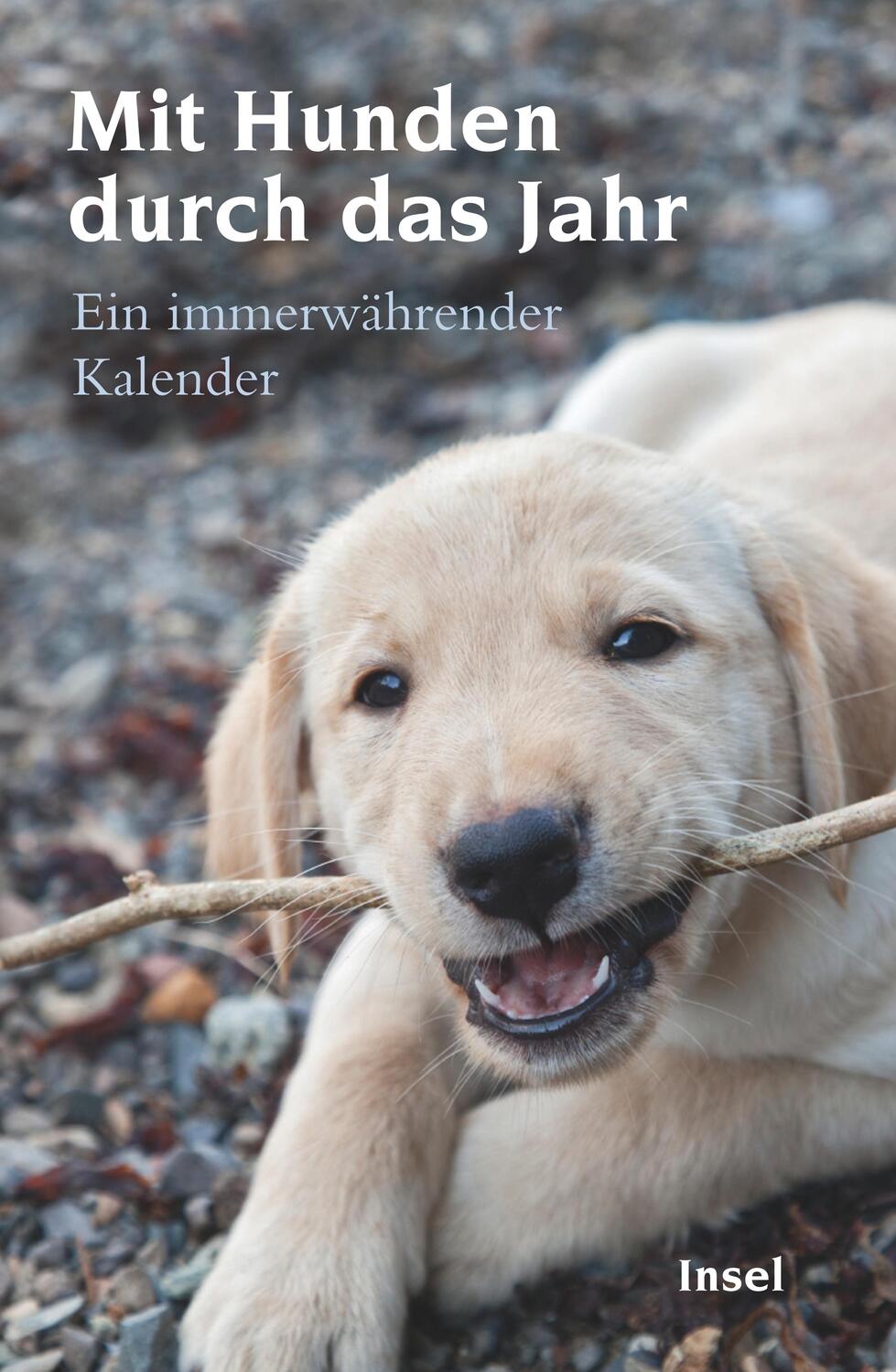 Cover: 9783458360223 | Mit Hunden durch das Jahr | Ein immerwährender Kalender | Dammel