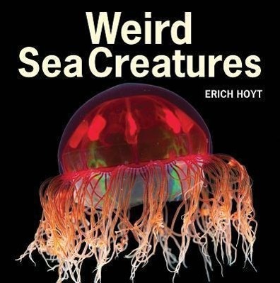 Cover: 9781770851917 | Weird Sea Creatures | Erich Hoyt | Taschenbuch | Englisch | 2013
