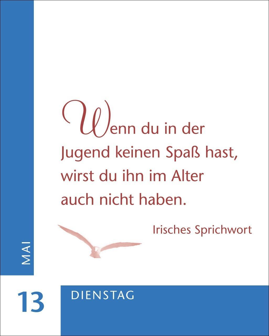 Bild: 9783840034183 | Ein Jahr der Gelassenheit Mini-Geschenkkalender 2025 | Artel | 380 S.