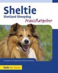 Cover: 9783800167883 | Sheltie | Shetland Sheppdog | Charlotte Schwartz | Buch | Deutsch