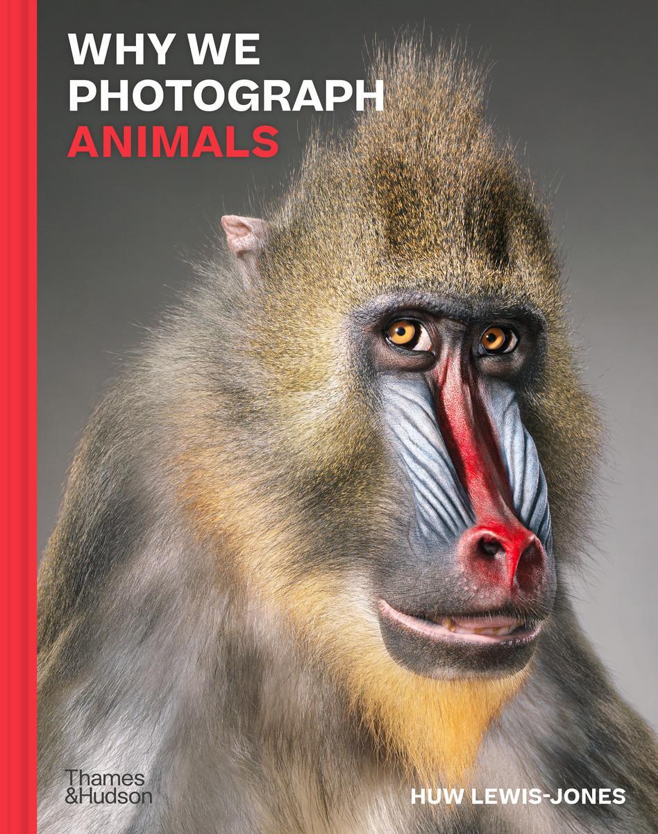 Cover: 9780500022726 | Why We Photograph Animals | Huw Lewis-Jones | Buch | Englisch | 2024