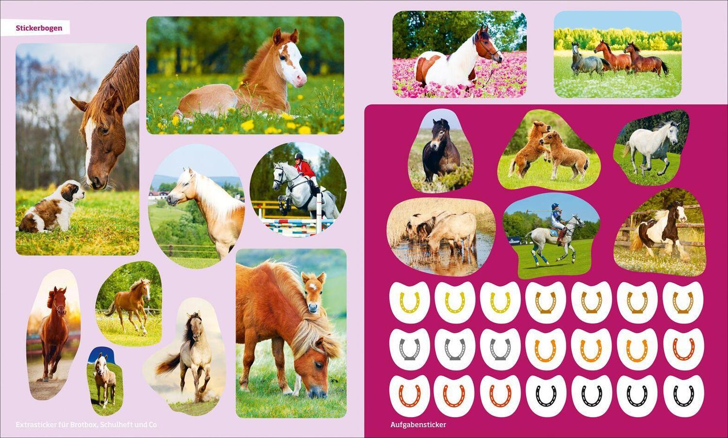 Bild: 9783788621681 | WAS IST WAS Rätseln und Stickern: Pferde | Anja Starigk | Taschenbuch