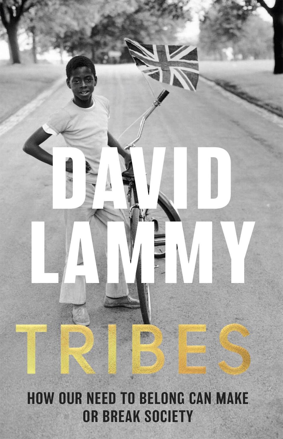Cover: 9781472128720 | Tribes | A Search for Belonging in a Divided Society | David Lammy