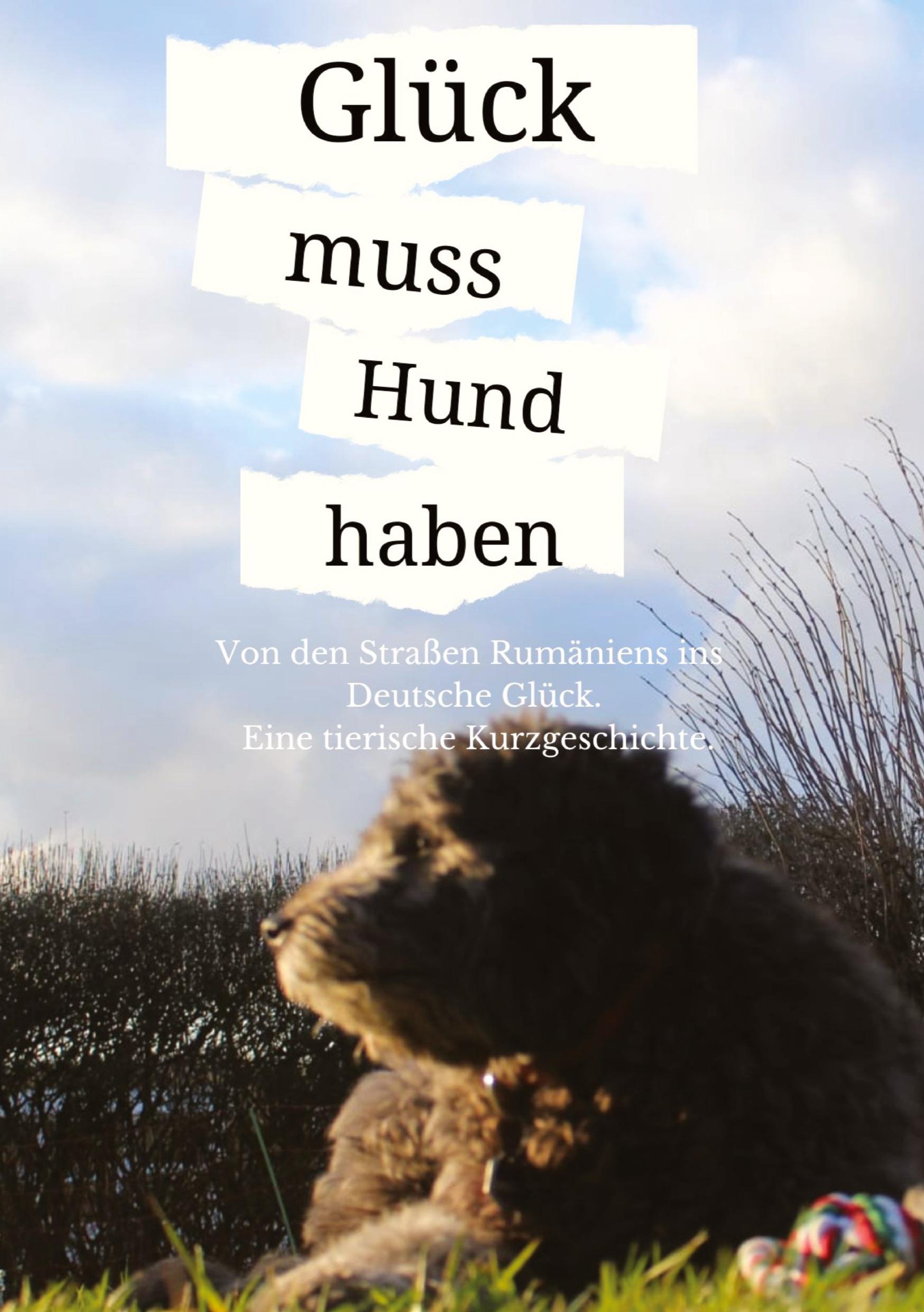 Cover: 9783384013835 | Glück muss Hund haben | Bella Dierssen | Taschenbuch | Paperback