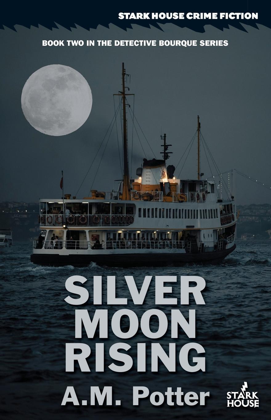 Cover: 9798886011005 | Silver Moon Rising | A. M. Potter | Taschenbuch | Paperback | Englisch