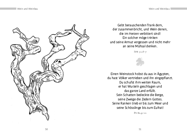 Bild: 9783961571574 | Die schönsten Bibelverse für Gartenliebende | Michaela Mokry | Buch