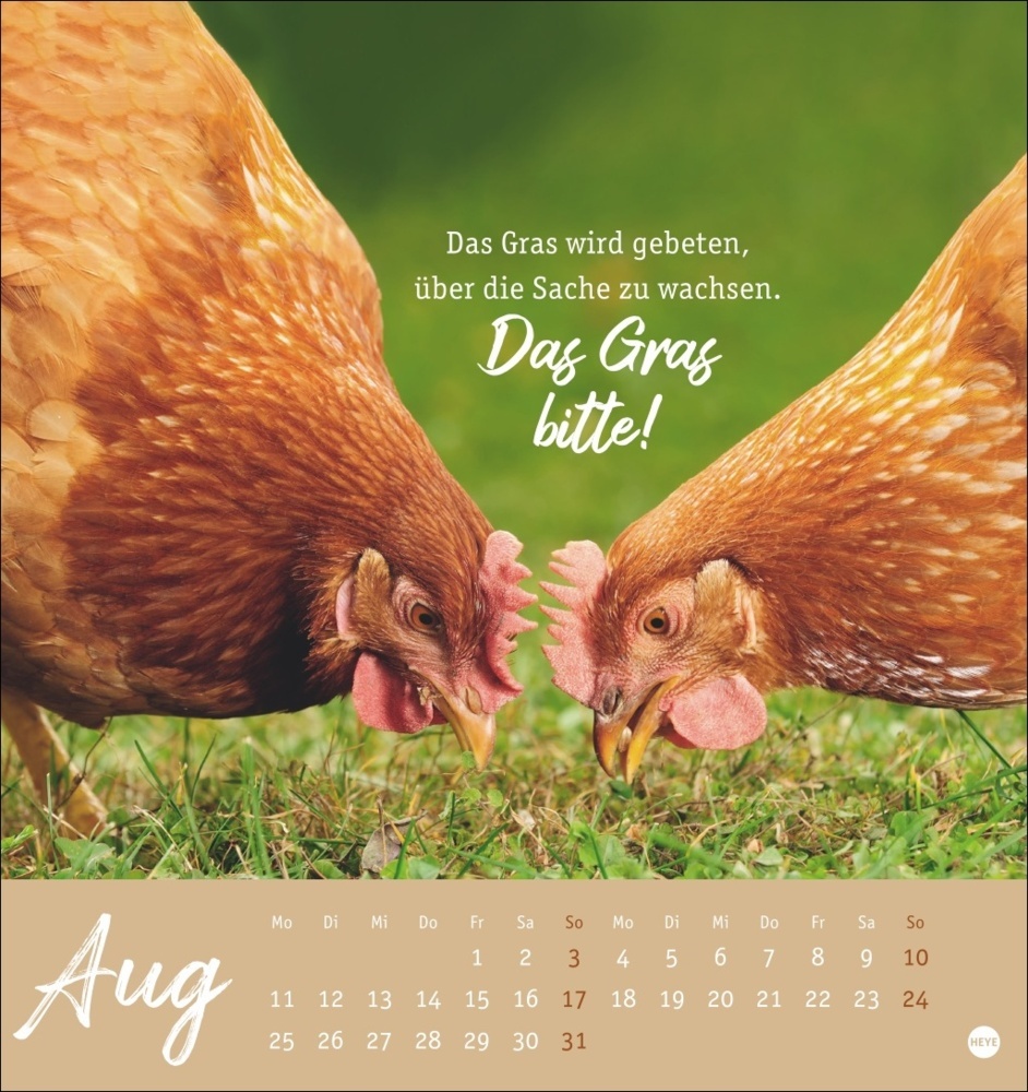 Bild: 9783756408573 | Hühner Postkartenkalender 2025 - Ach, du verrücktes Huhn! | Kalender