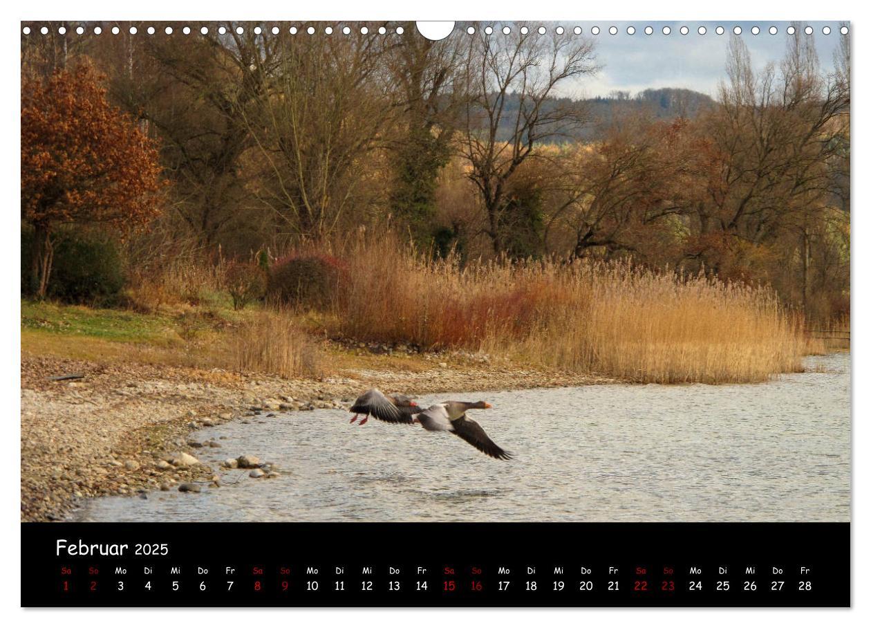 Bild: 9783435456826 | Traumhaft schöner Bodensee (Wandkalender 2025 DIN A3 quer),...