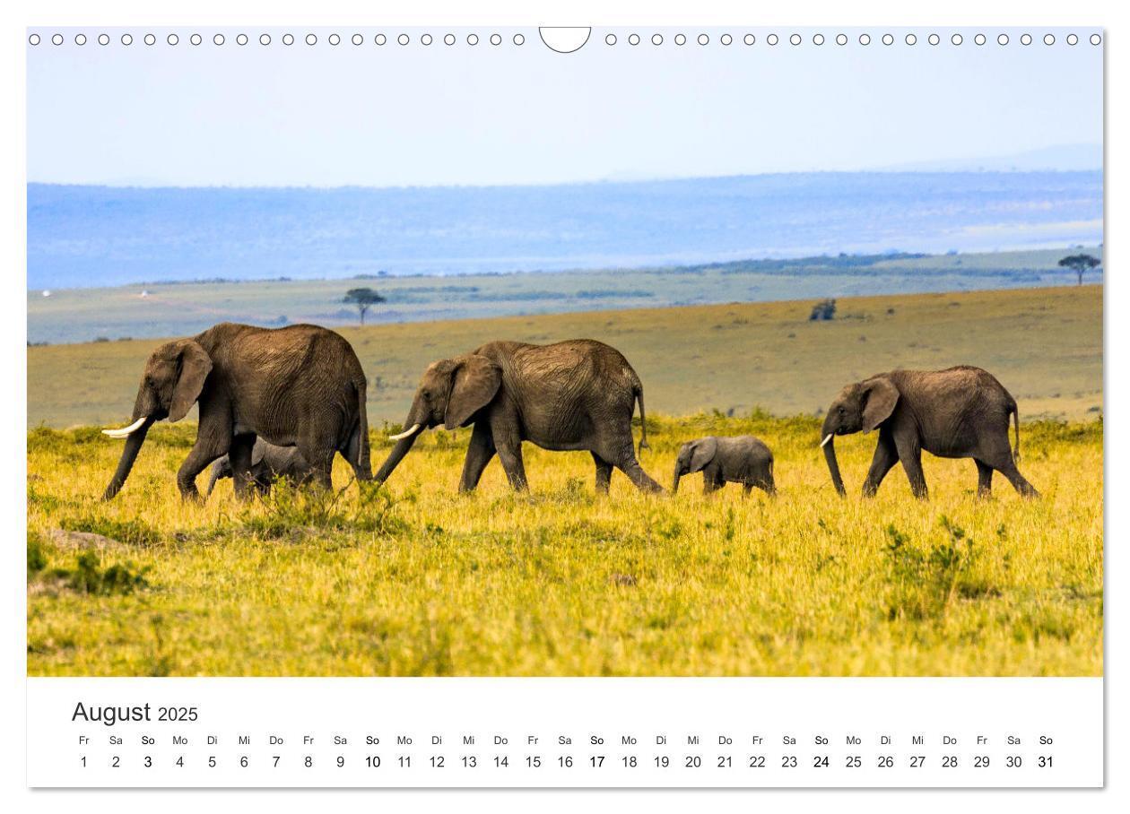 Bild: 9783383957031 | Botswana - Grandiose Wildnis (Wandkalender 2025 DIN A3 quer),...