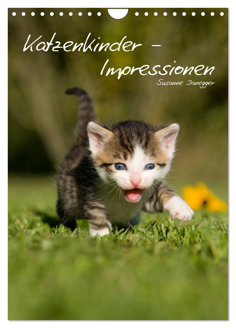 Cover: 9783457086711 | Katzenkinder - Impressionen (Wandkalender 2025 DIN A4 hoch),...