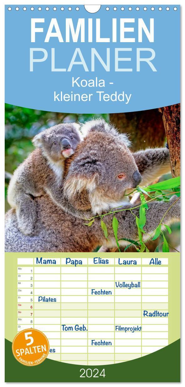 Cover: 9783383110627 | Familienplaner 2024 - Koala - kleiner Teddy mit 5 Spalten...