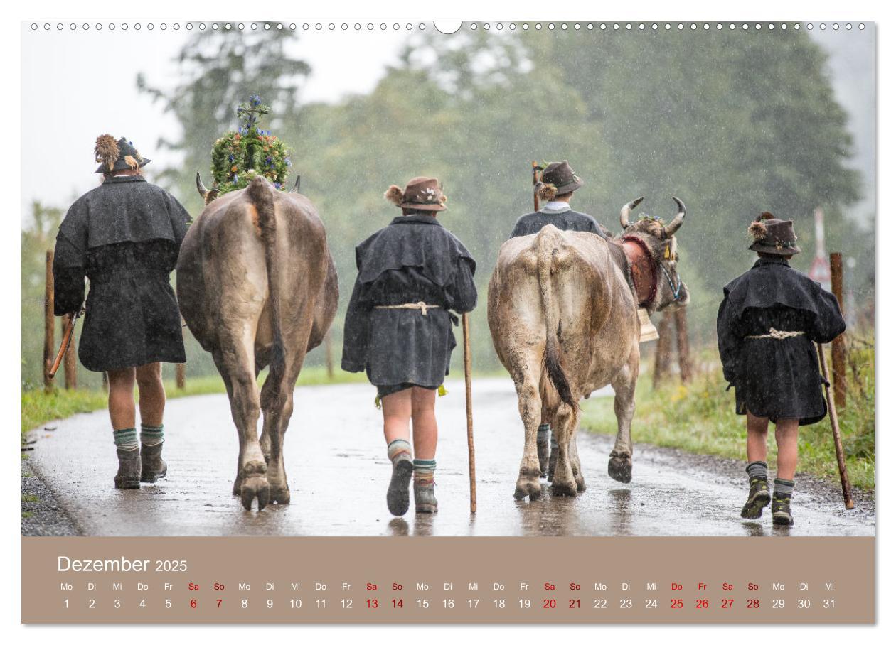 Bild: 9783383966354 | Heimweh Allgäu 2025 (Wandkalender 2025 DIN A2 quer), CALVENDO...