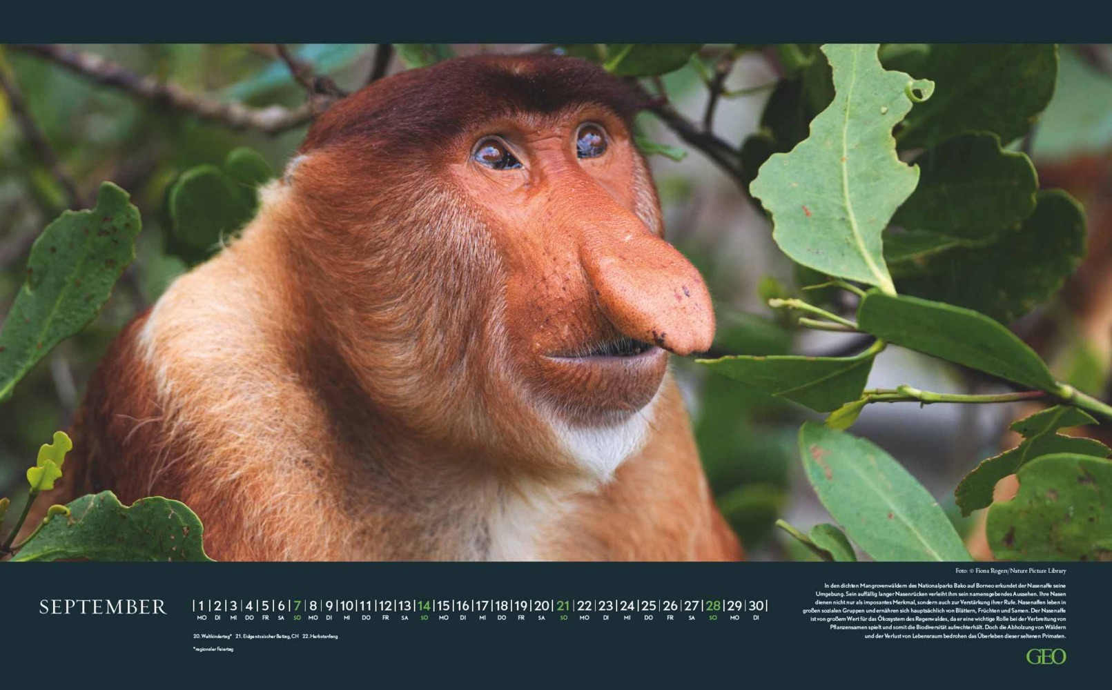 Bild: 4002725988645 | GEO Bedrohte Tierwelt 2025 - Wand-Kalender - Tier-Kalender -...