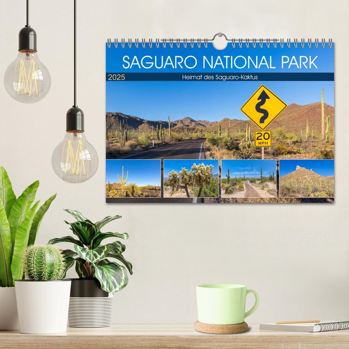 Bild: 9783435203079 | SAGUARO NATIONAL PARK Heimat des Saguaro-Kaktus (Wandkalender 2025...