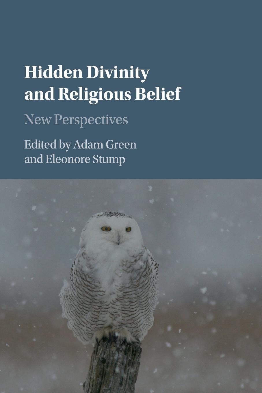 Cover: 9781107435032 | Hidden Divinity and Religious Belief | Eleonore Stump | Taschenbuch