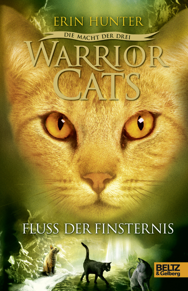 Cover: 9783407811189 | Warrior Cats, Die Macht der drei, Fluss der Finsternis | Erin Hunter