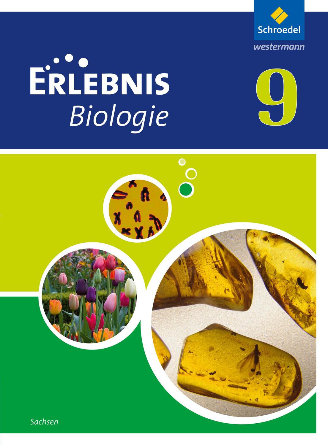 Cover: 9783507776067 | Erlebnis Biologie 9. Schülerband. Sachsen | Ausgabe 2012 | Buch | 2016