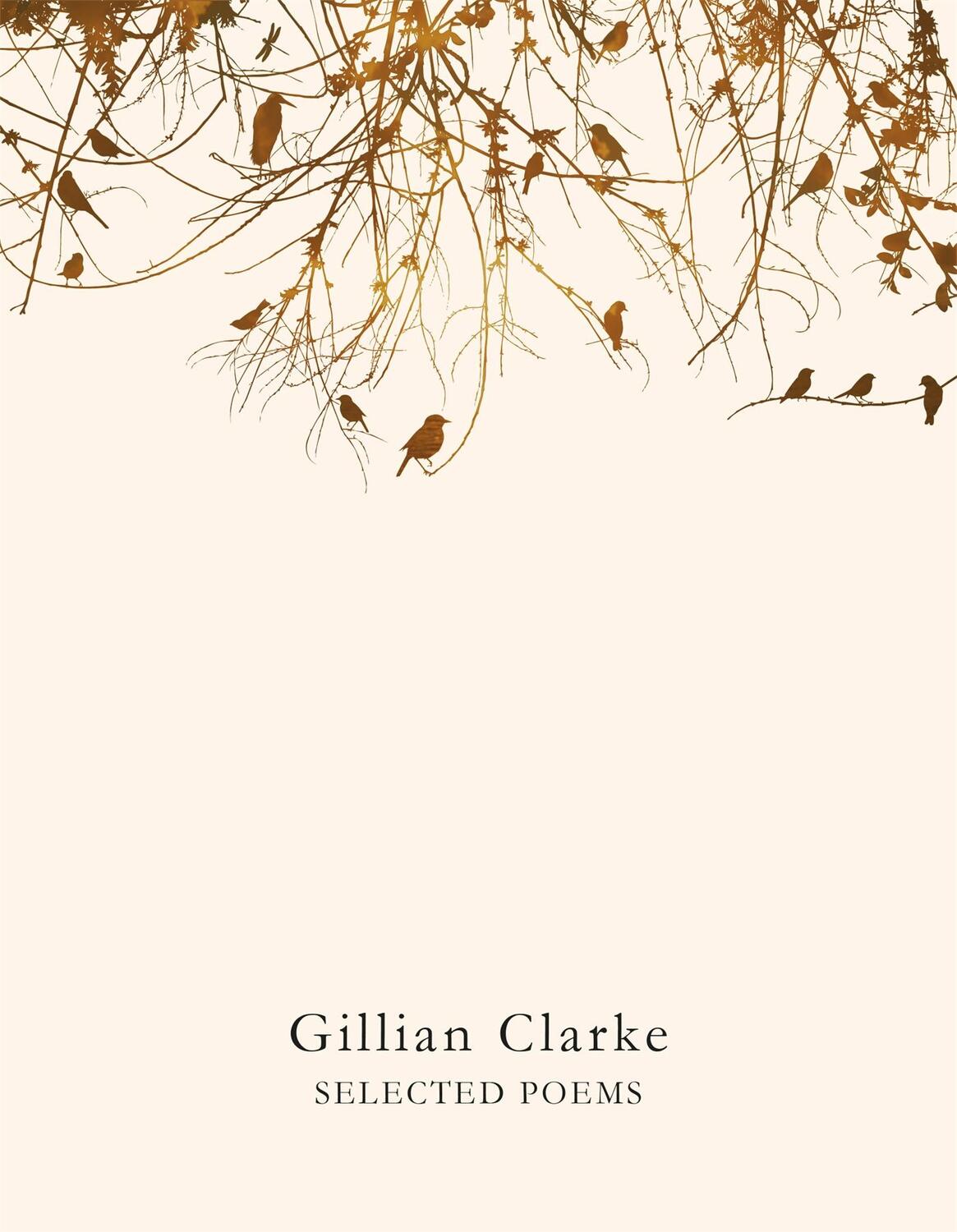 Cover: 9781509821921 | Selected Poems | Selected Poems | Gillian Clarke | Taschenbuch | 2016
