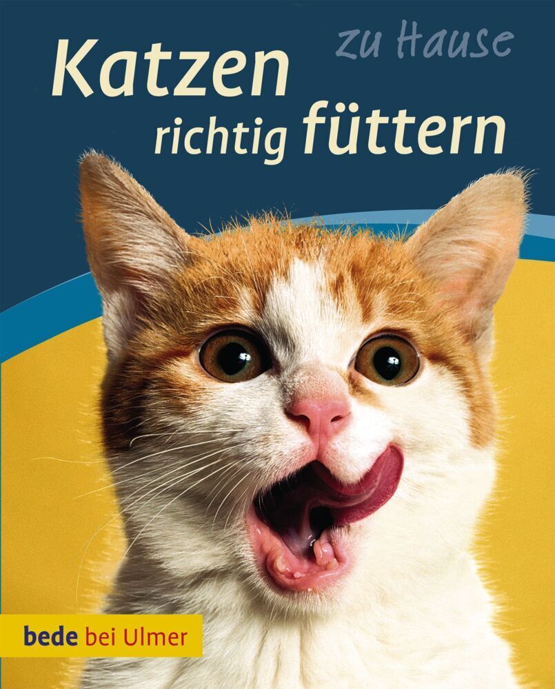 Cover: 9783800175475 | Katzen richtig füttern | Gesund, lecker, appetitlich | Anna Laukner