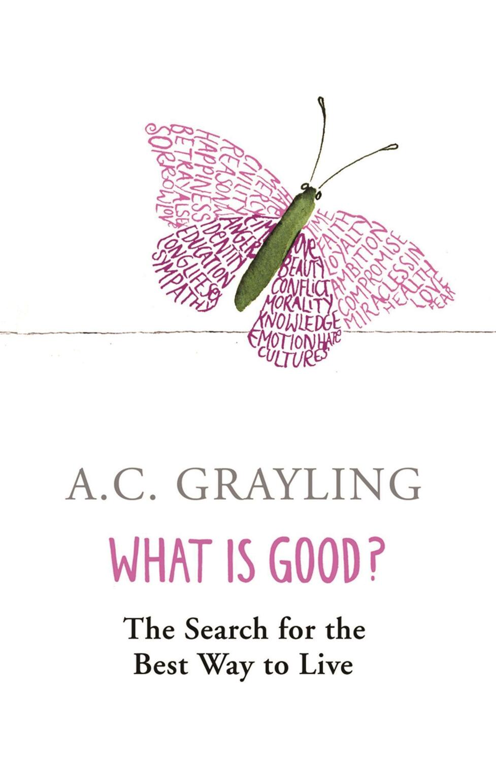 Cover: 9780753817551 | What is Good? | The Search for the Best Way to Live | A. C. Grayling
