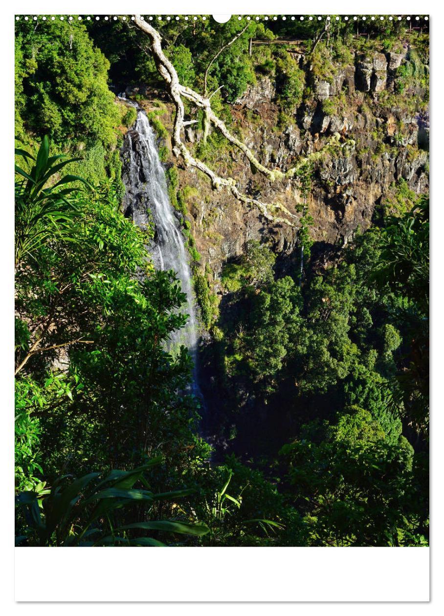 Bild: 9783435972357 | Regenwald - Australien (Wandkalender 2025 DIN A2 hoch), CALVENDO...