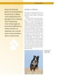 Bild: 9783440116241 | Berner Sennenhund | Auswahl, Haltung, Erziehung, Beschäftigung | Buch