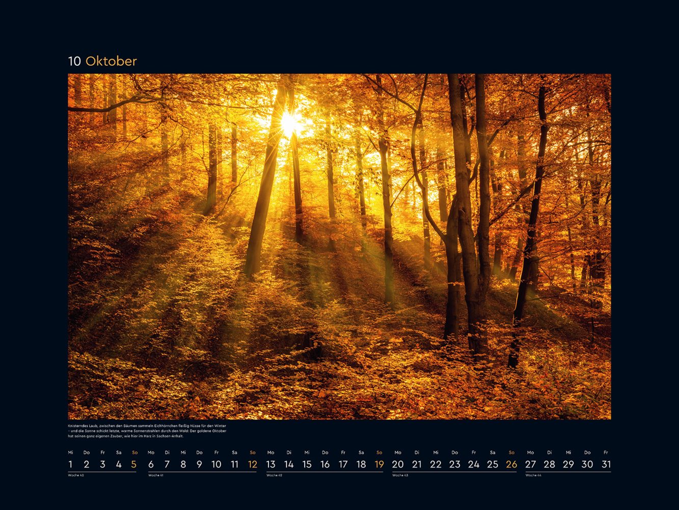 Bild: 9783965913677 | Gold - KUNTH Wandkalender 2025 | Kalender | 14 S. | Deutsch | 2025