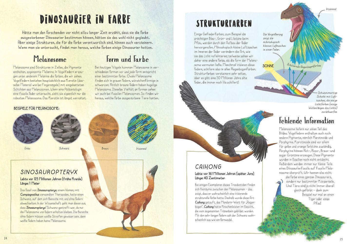 Bild: 9783957287519 | Vom Tyrannosaurus zum Huhn | Die unglaubliche Evolution der Vögel