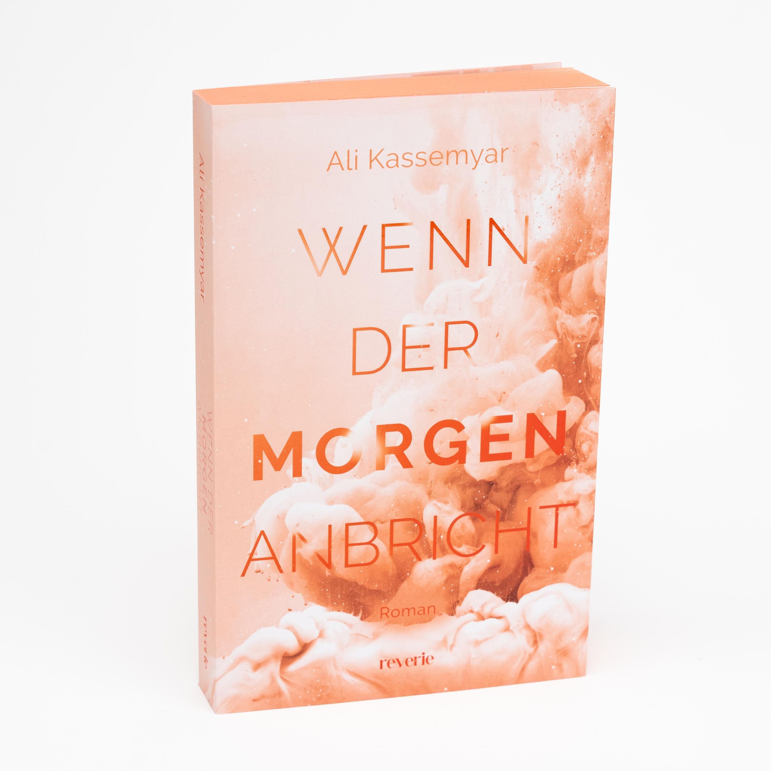 Bild: 9783745704433 | Wenn der Morgen anbricht | Ali Kassemyar | Taschenbuch | 304 S. | 2025