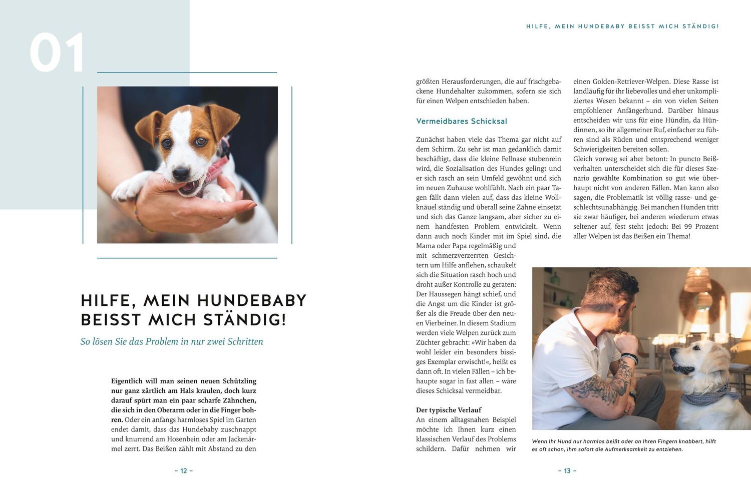 Bild: 9783833882593 | Hilfe, mein Hund macht, was er will! | André Henkelmann | Buch | 2023